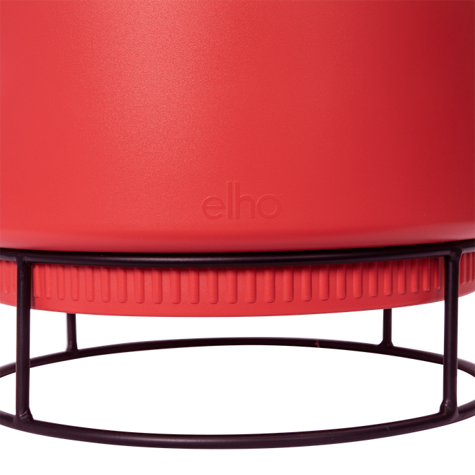 b.for studio schaal 30cm briljant rood